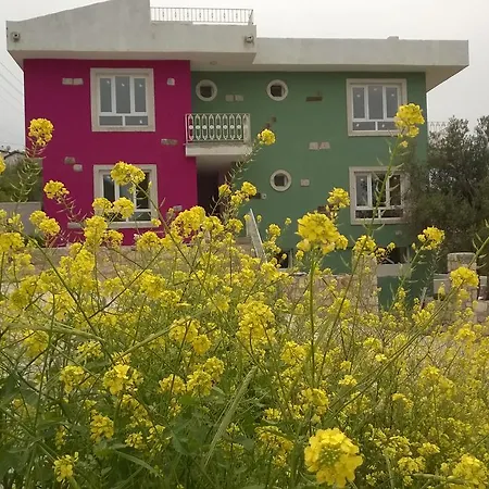 Konukevi Ev Pasalimani Emin Sitesi